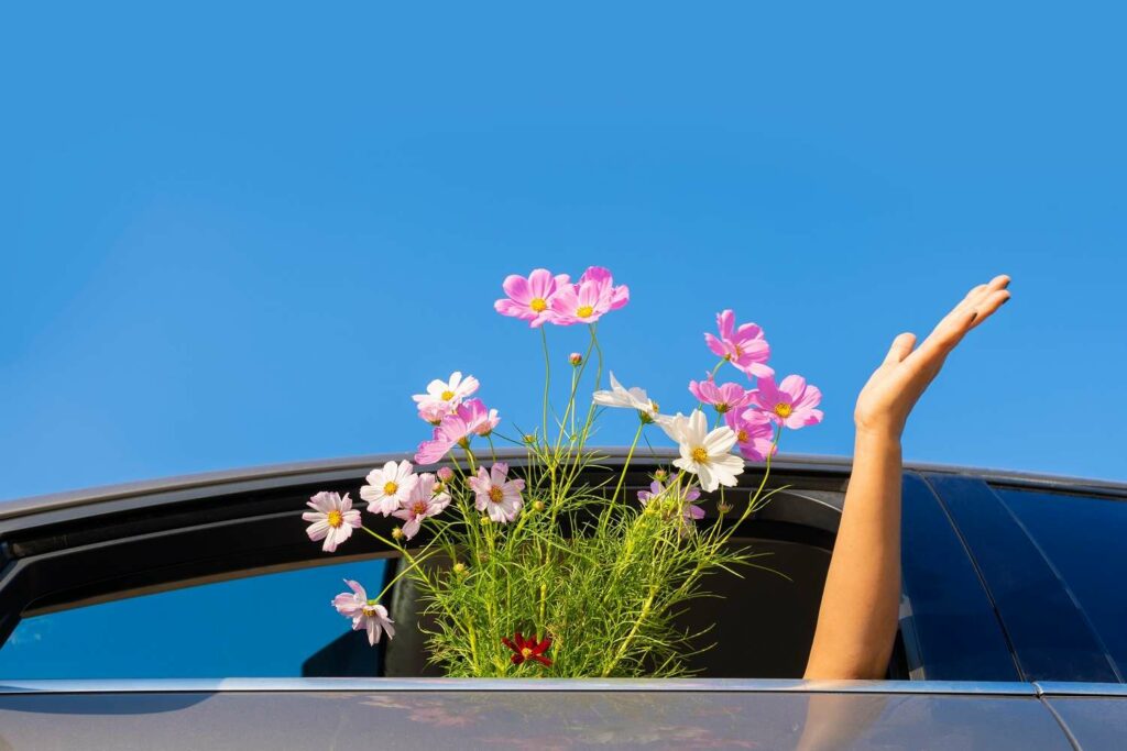 Illustration de l'article : Pourquoi préparer sa flotte automobile pour le printemps est indispensable ?