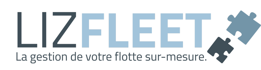 logo lizfleet grey